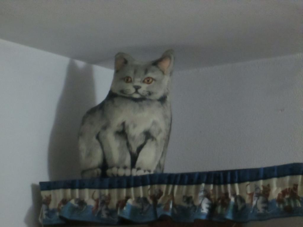 Cat'S House Apartment Лидо ди Остия Стая снимка